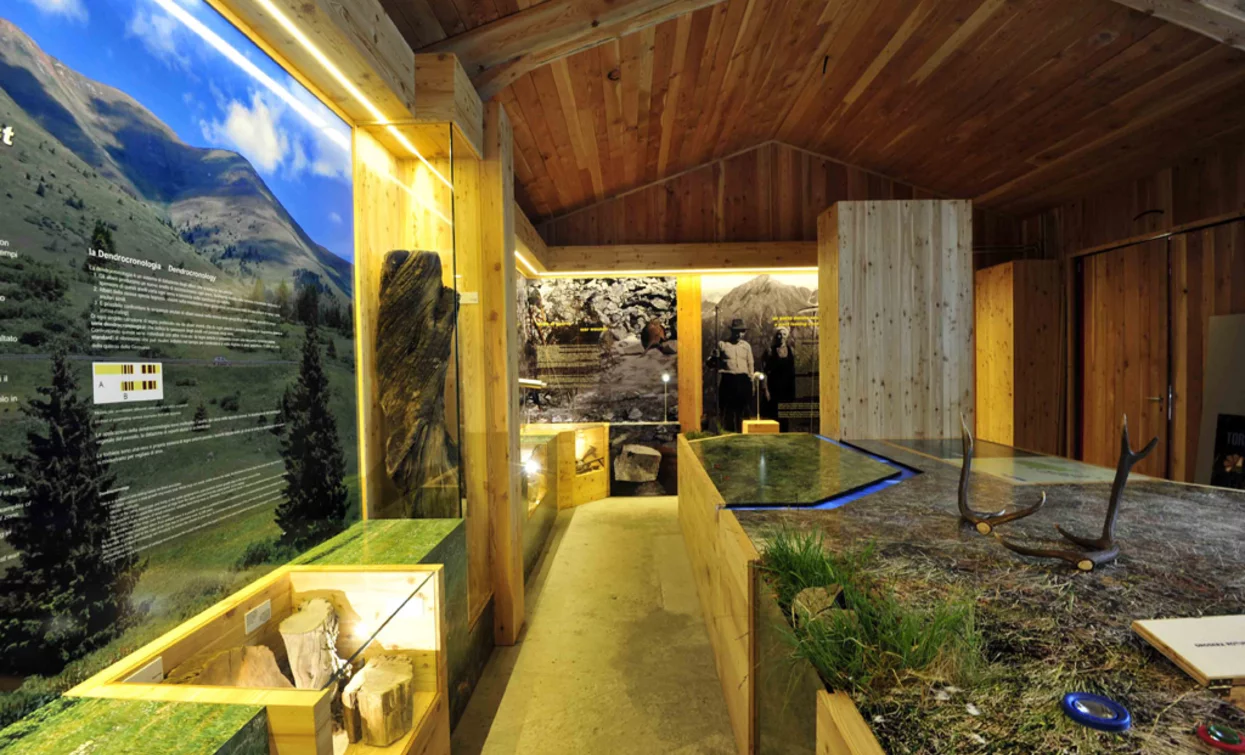 Torbiera del Tonale | © Azienda Turismo Val di Sole, APT - Valli di Sole, Peio e Rabbi