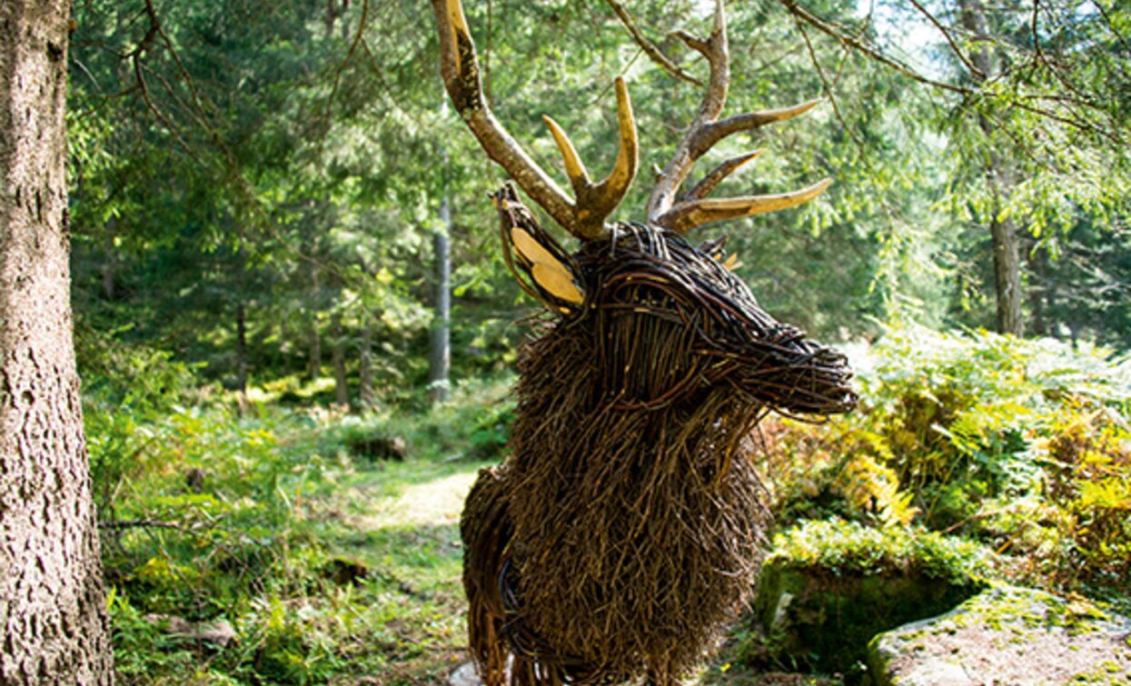 Sentiero Rio Valorz | © Rotwild, APT Valli di Sole, Peio e Rabbi