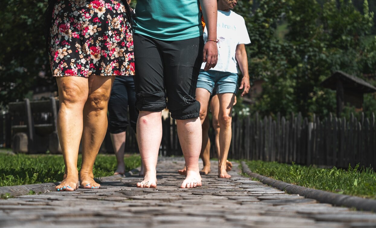 Percorso Kneipp | © Camilla Pizzini, APT Valli di Sole, Peio e Rabbi