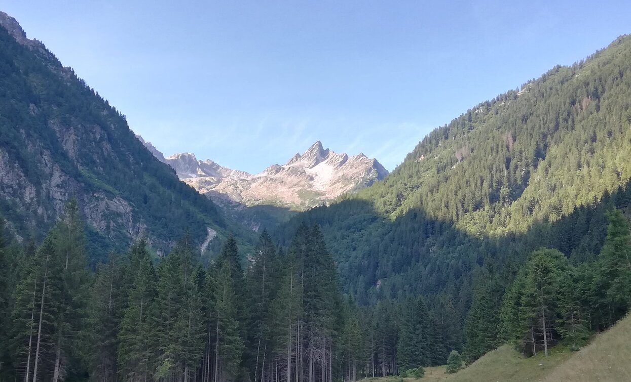 Abfahrt von Valpiana | © Azienda Turismo Val di Sole, APT - Valli di Sole, Peio e Rabbi