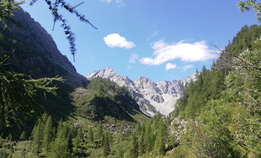 Accomodazione