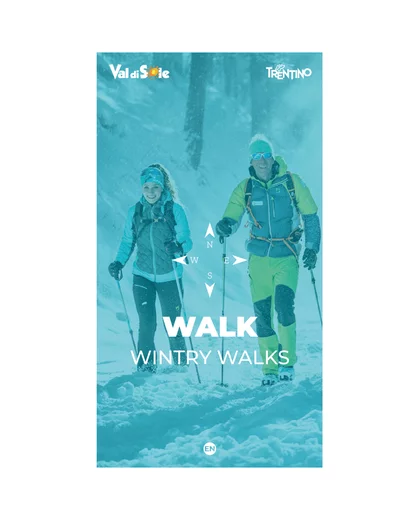 walk wintry  | © Archivio APT Val di Sole