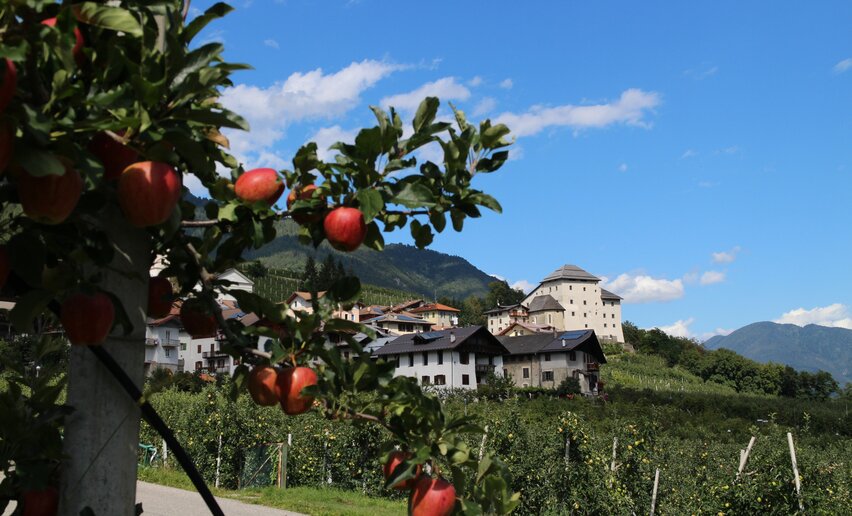 Castel Caldes Val di Sole Trentino | © Archivio APT Val di Sole - Ph Dario Andreis