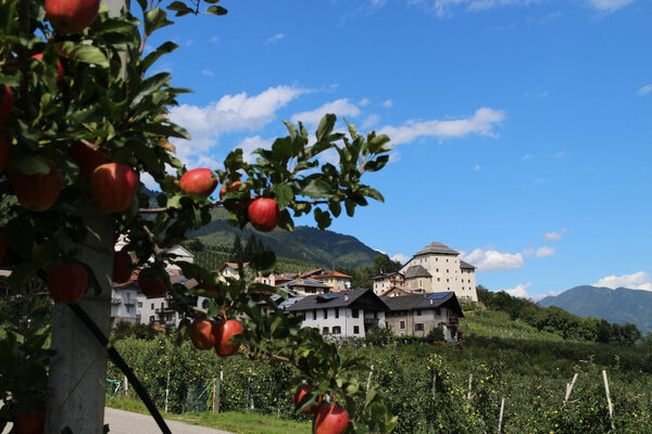 Castel Caldes Val di Sole Trentino | © Archivio APT Val di Sole - Ph Dario Andreis