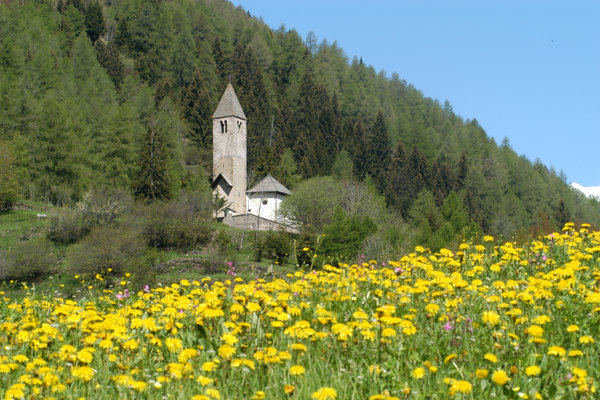 Chiesa Santa Lucia Comasine in Val di Peio | © Archivio APT Val di Sole - Ph Tiziano Mochen