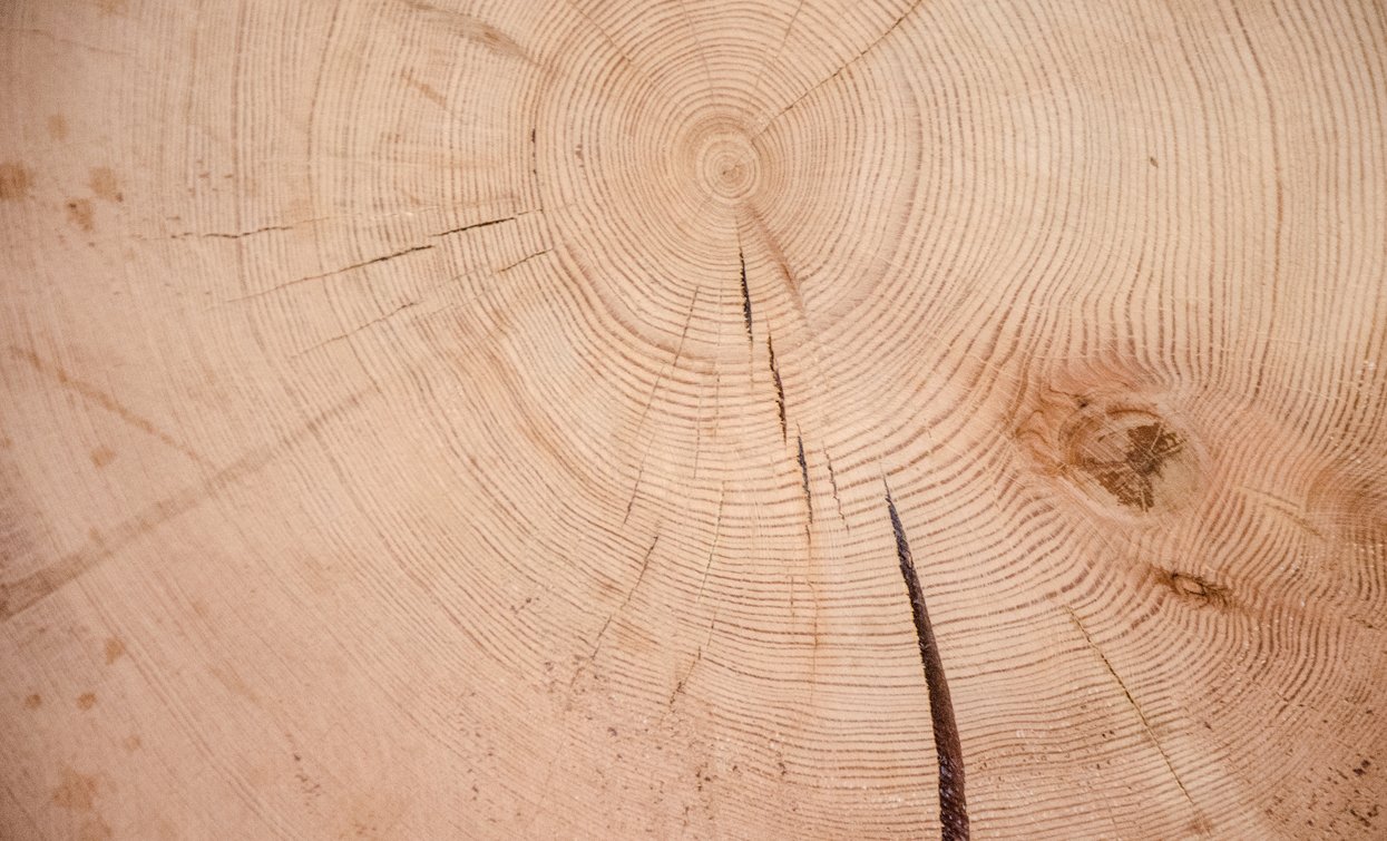 Museo Etnografico del Legno - Ecomuseo Piccolo Mondo Alpino Val di Peio | © Archivio Ecomuseo Piccolo Mondo Alpino Val di Peio