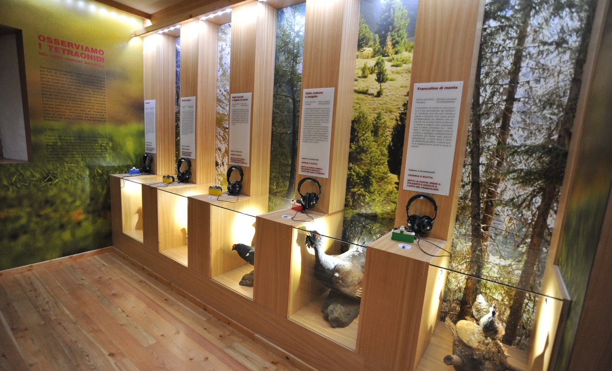 Malga Talé Il Bosco degli Urogalli | © Archivio Parco Nazionale dello Stelvio