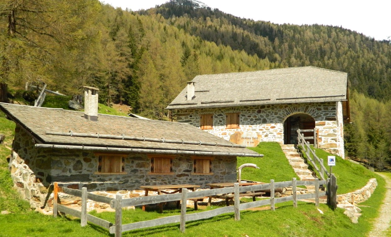 Malga Talé Il Bosco degli Urogalli | © Archivio Parco Nazionale dello Stelvio