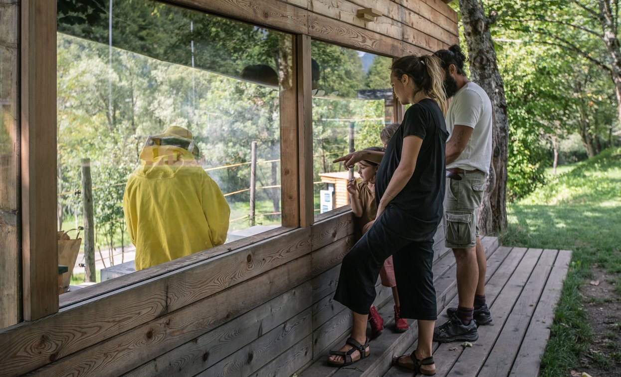 Mmape Mulino Museo dell'Ape | © Archivio APT Val di Sole - Ph Tommaso Prugnola