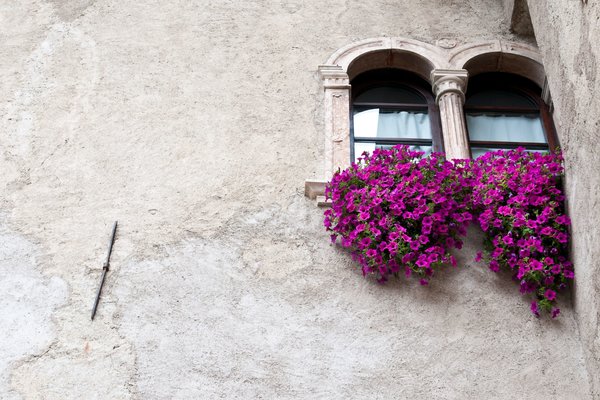 La Torraccia | © Archivio APT Val di Sole - Ph Luca Brentari