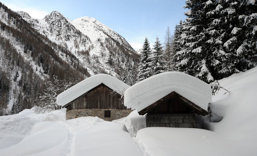 Masi in Val di Peio | © Archivio APT Val di Sole - Ph Giuliano Bernardi