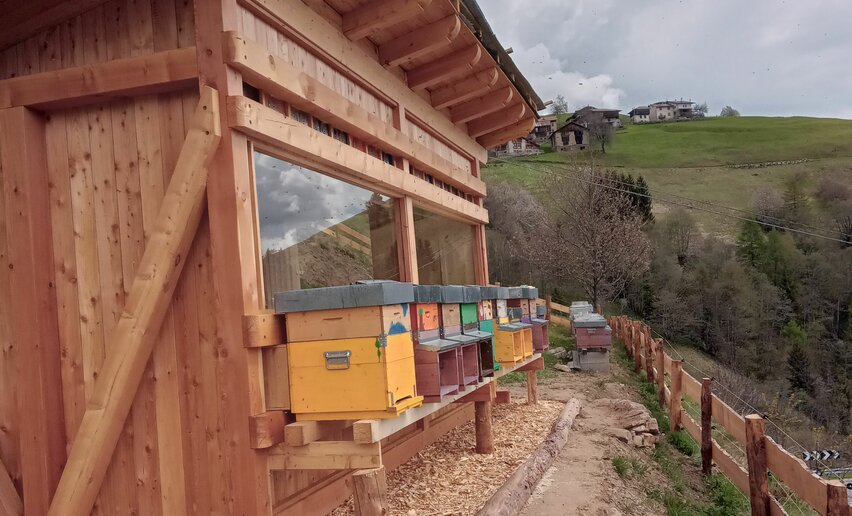 Un ronzio rilassante  | © Ph Casa dell'ape 