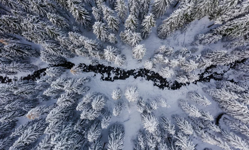Paesaggio invernale - Un cavallo per amico | ©  Archivio APT Val di Sole 