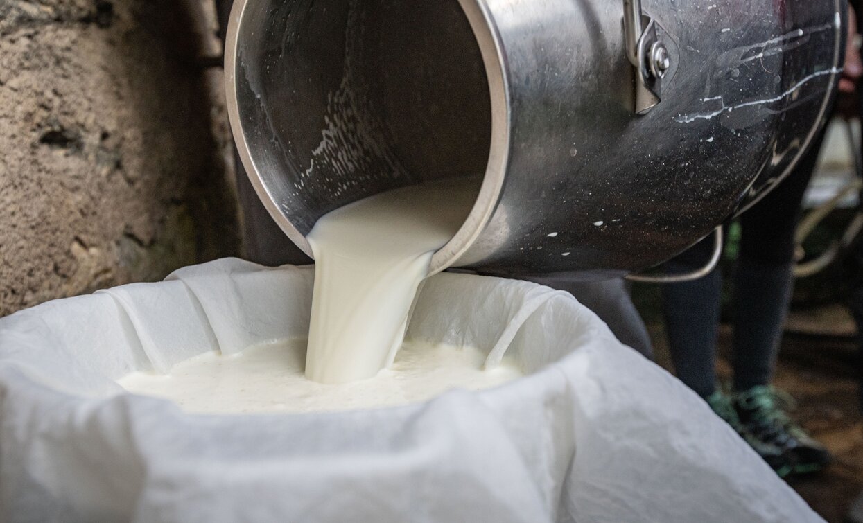 Sunrise in Val di Pejo | © Archivio ApT Val di Sole - Ph. Tommaso Prugnola