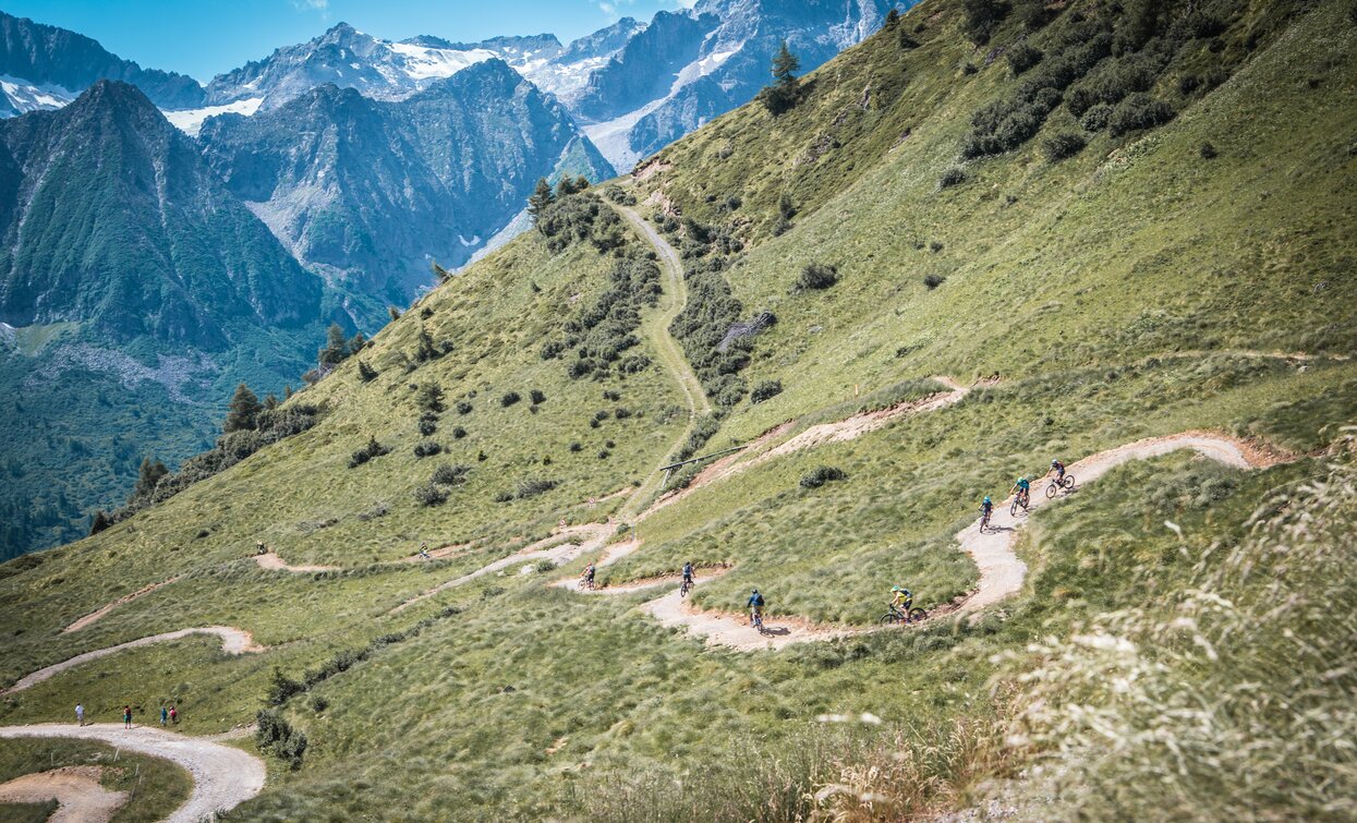 Downhill nella terra dei Mondiali - CentroBike ValdiSole | © Archivio Centro Bike Val di Sole