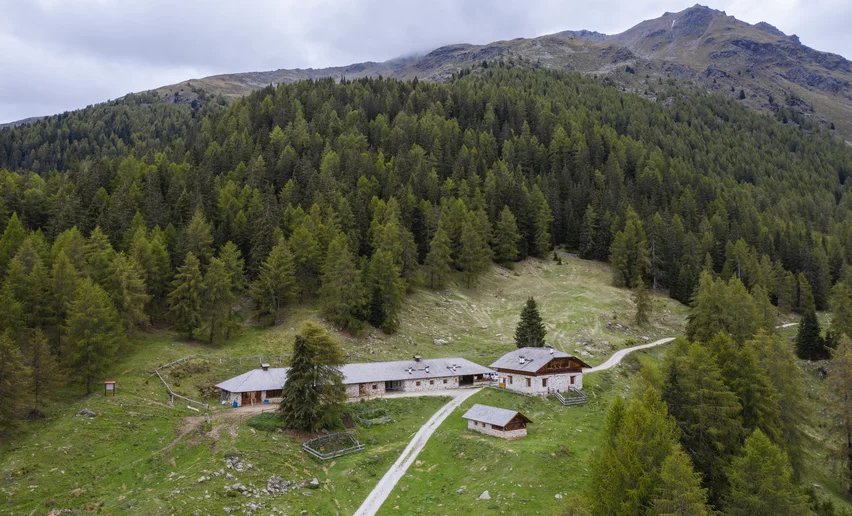 Malga Paludè | © Archivio APT Val di Sole - Giacomo Podetti