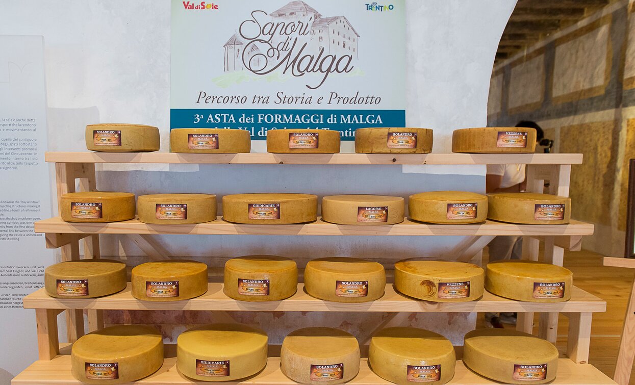 Asta dei Formaggi di Malga 2017 Cheese FestiVal di Sole | © Archivio APT Val di Sole - Ph Alessandro Zanon