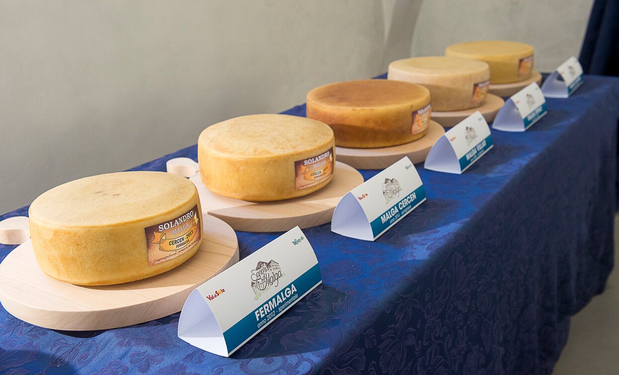 Asta dei Formaggi di Malga 2017 Cheese FestiVal di Sole | © Archivio APT Val di Sole - Ph Alessandro Zanon