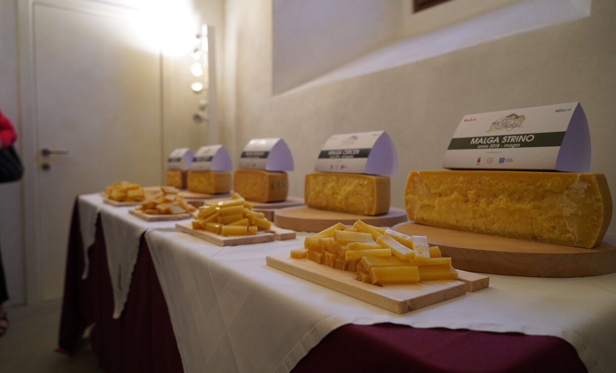 Asta dei Formaggi di Malga 2019 Cheese FestiVal di Sole | © Archivio APT Val di Sole - Ph Nitida Immagine