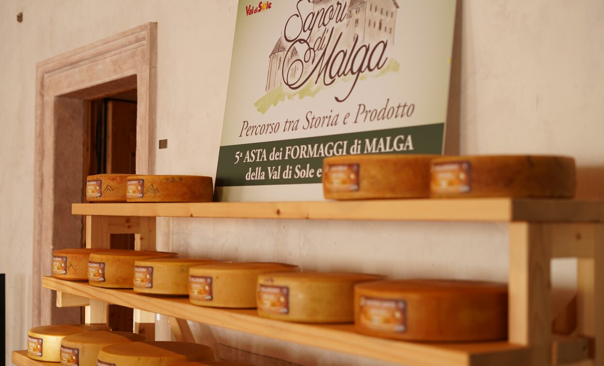Asta dei Formaggi di Malga 2019 Cheese FestiVal di Sole | © Archivio APT Val di Sole - Ph Nitida Immagine