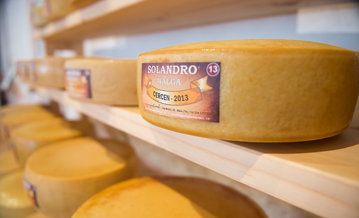 Asta dei Formaggi di Malga 2017 Cheese FestiVal di Sole | © Archivio APT Val di Sole - Ph Alessandro Zanon