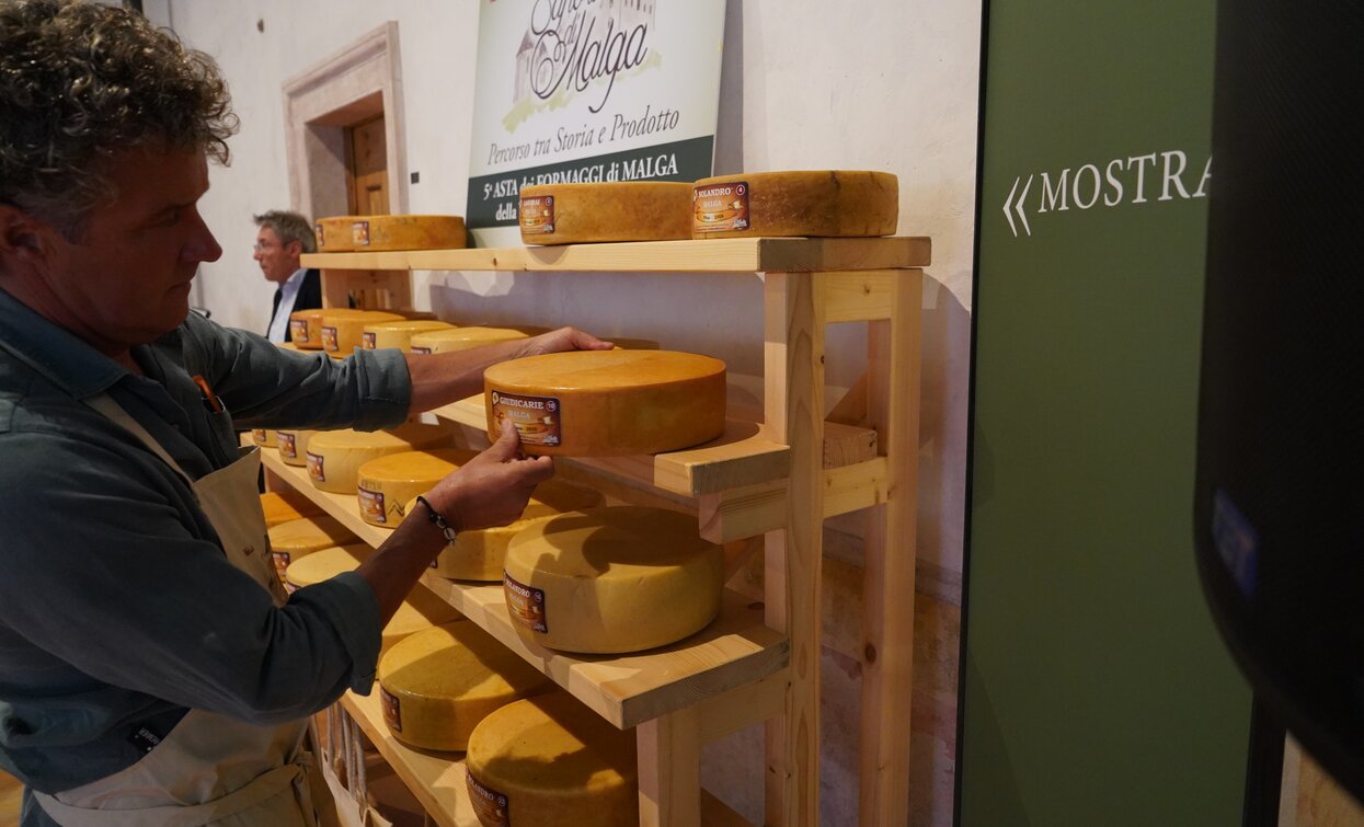 Asta dei Formaggi di Malga 2019 Cheese FestiVal di Sole | © Archivio APT Val di Sole - Ph Nitida Immagine