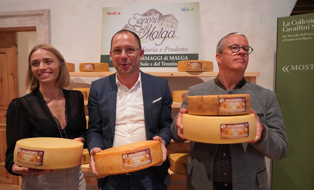 Asta dei Formaggi di Malga 2019 Cheese FestiVal di Sole | © Archivio APT Val di Sole - Ph Nitida Immagine