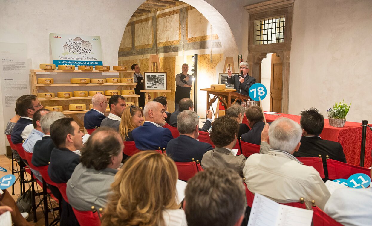 Asta dei Formaggi di Malga 2017 Cheese FestiVal di Sole | © Archivio APT Val di Sole - Ph Alessandro Zanon