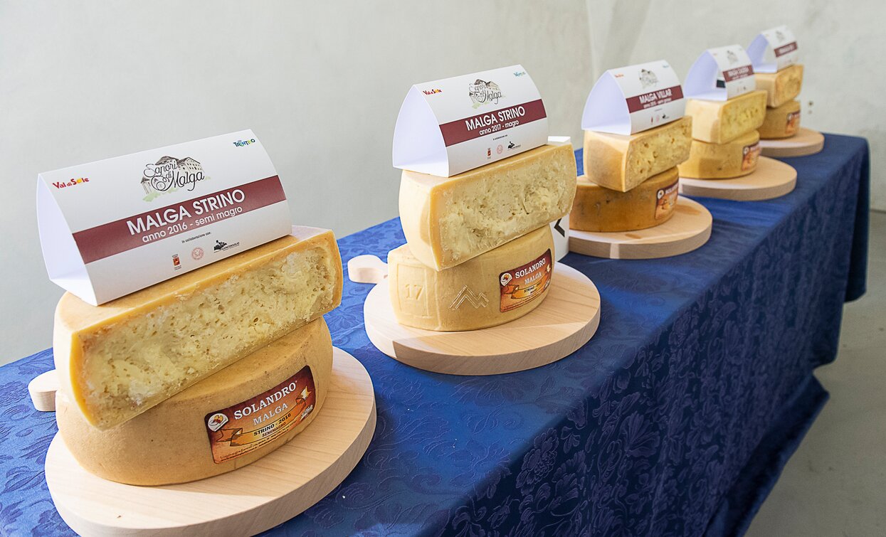Asta dei Formaggi di Malga 2018 Cheese FestiVal di Sole | © Archivio APT Val di Sole - Ph Nitida Immagine