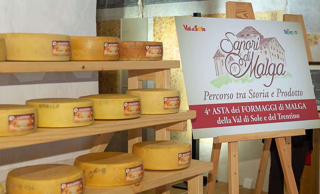 Asta dei Formaggi di Malga 2018 Cheese FestiVal di Sole | © Archivio APT Val di Sole - Ph Nitida Immagine