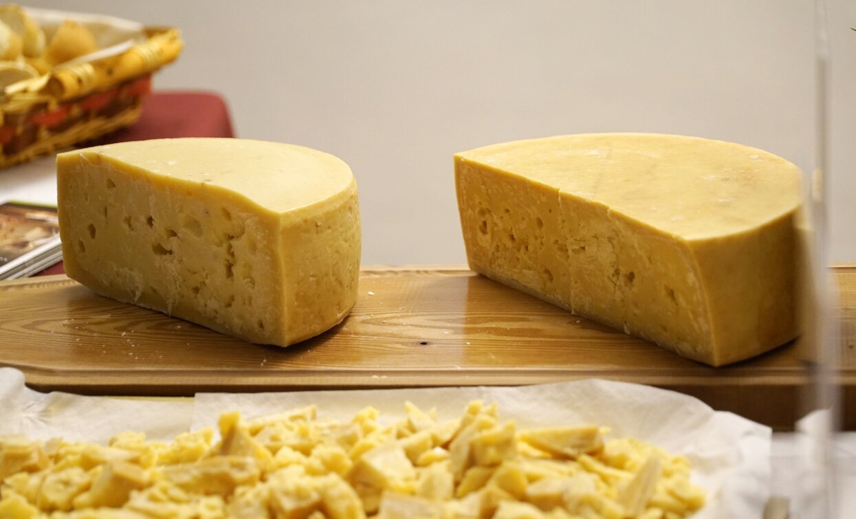 Asta dei Formaggi di Malga 2017 Cheese FestiVal di Sole | © Archivio APT Val di Sole - Ph Alessandro Zanon