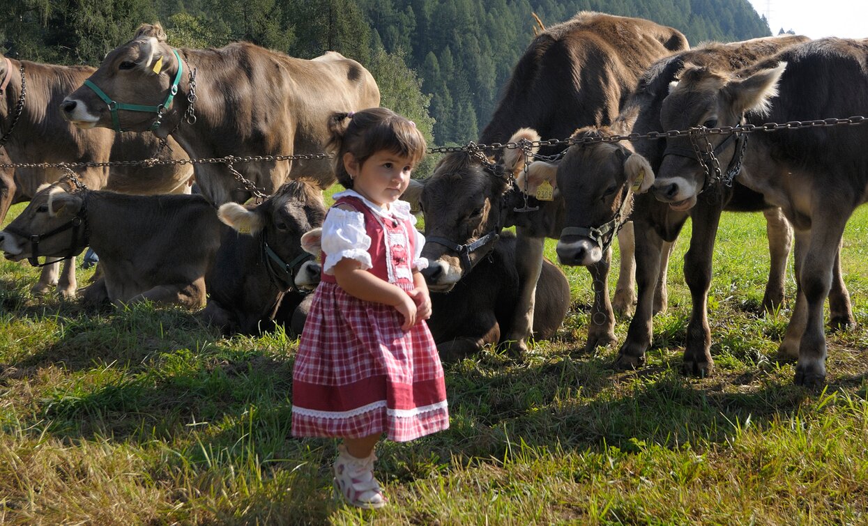 Fera dei Sét Cheese FestiVal di Sole | © Archivio APT Val di Sole - Ph Antonio Vigarani