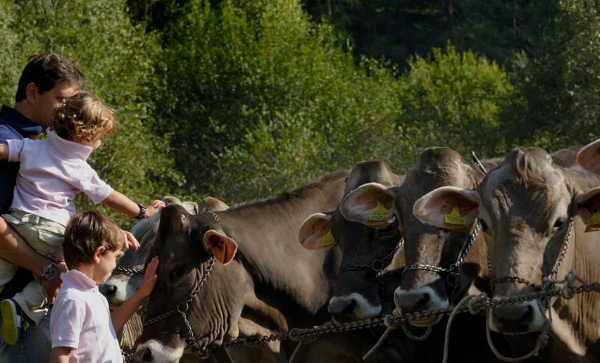 Fera dei Sét Cheese FestiVal di Sole | © Archivio APT Val di Sole - Ph Antonio Vigarani