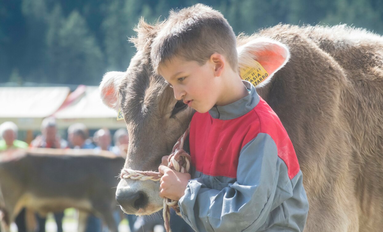 Fera de Cogol Festa dell'Agricoltura Cheese FestiVal di Sole | © Archivio APT Val di Sole - Ph Mauro Mariotti