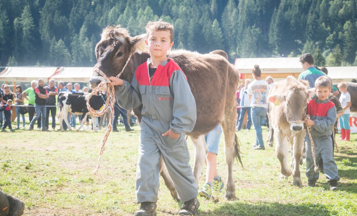 Fera de Cogol Festa dell'Agricoltura Cheese FestiVal di Sole | © Archivio APT Val di Sole - Ph Mauro Mariotti