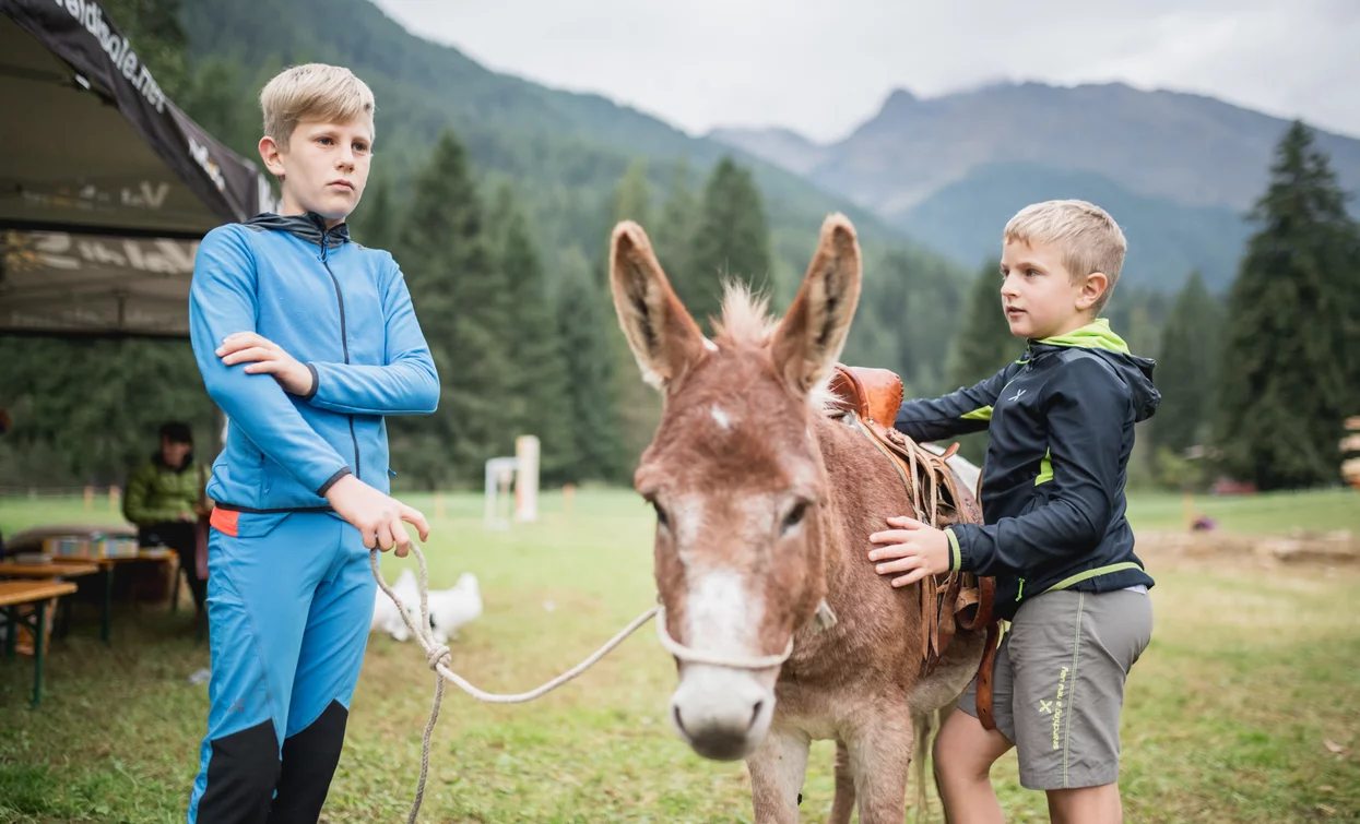 Latte in Festa 2019 Cheese FestiVal di Sole | © Archivio APT Val di Sole - Ph Giacomo Podetti