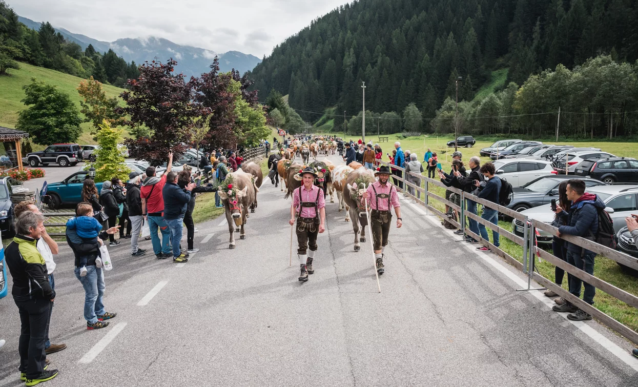 Latte in Festa 2019 Cheese FestiVal di Sole | © Archivio APT Val di Sole - Ph Giacomo Podetti