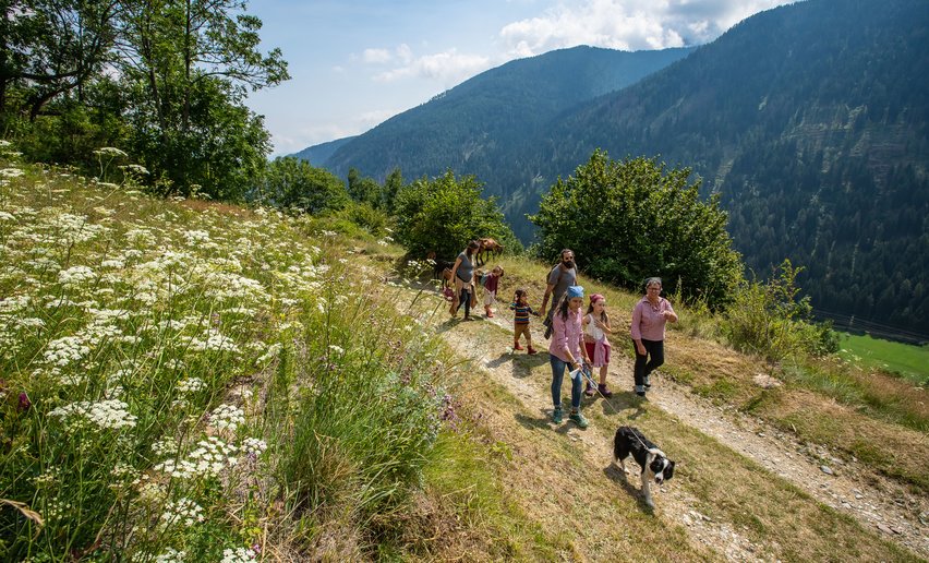 Passeggiata in famiglia | © Archivio APT Val di Sole - Ph Tommaso Prugnola