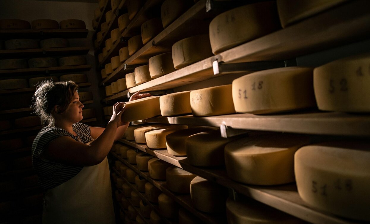 Formaggio | © Archivio APT Val di Sole - Ph Tommaso Prugnola