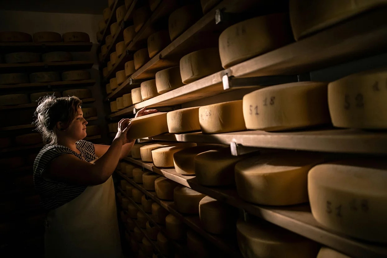Formaggio | © Archivio APT Val di Sole - Ph Tommaso Prugnola