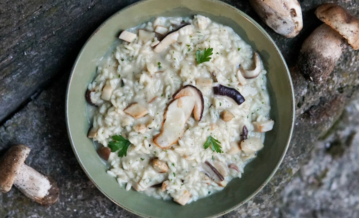 Risotto ai funghi porcini | © Archivio APT Val di Sole - Ph Davide Zambelli