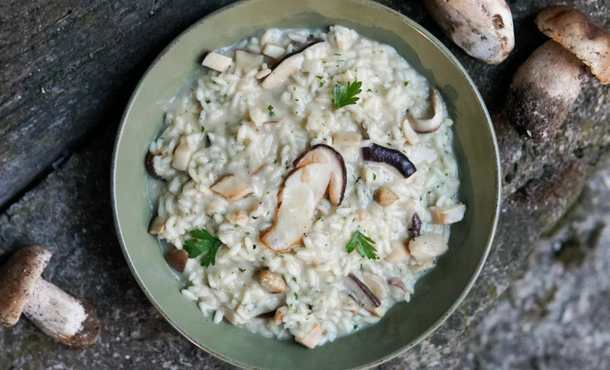 Risotto ai funghi porcini | © Archivio APT Val di Sole - Ph Davide Zambelli