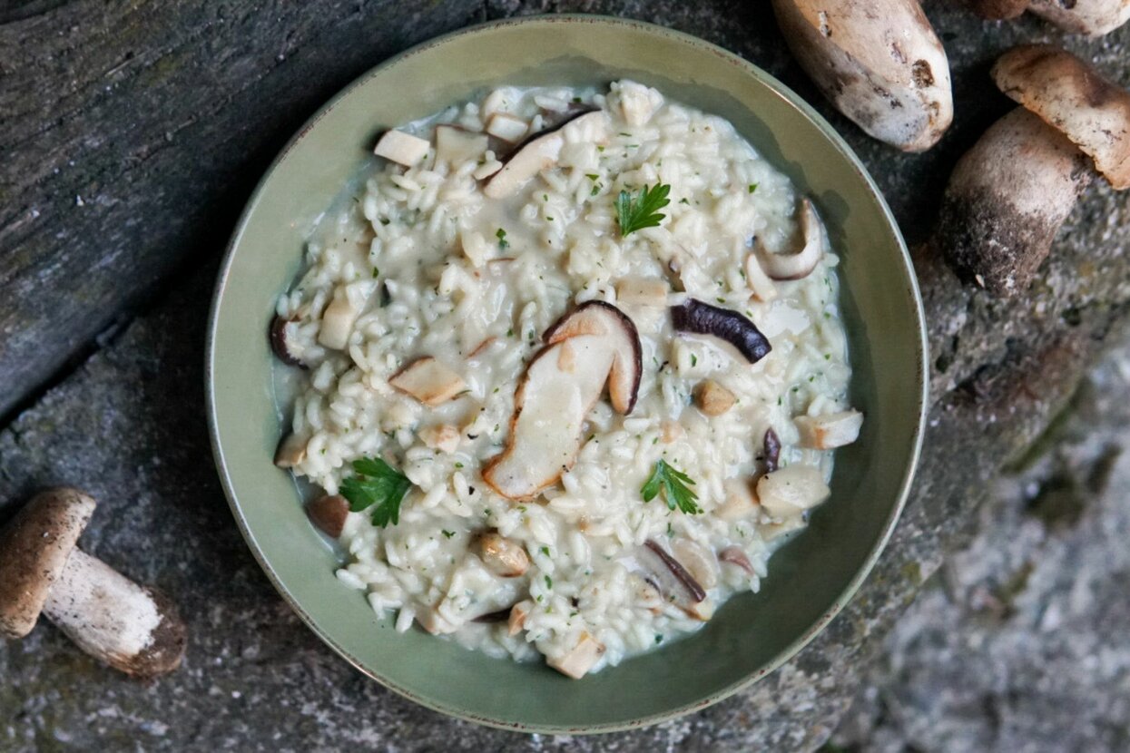 Risotto ai funghi porcini | © Archivio APT Val di Sole - Ph Davide Zambelli