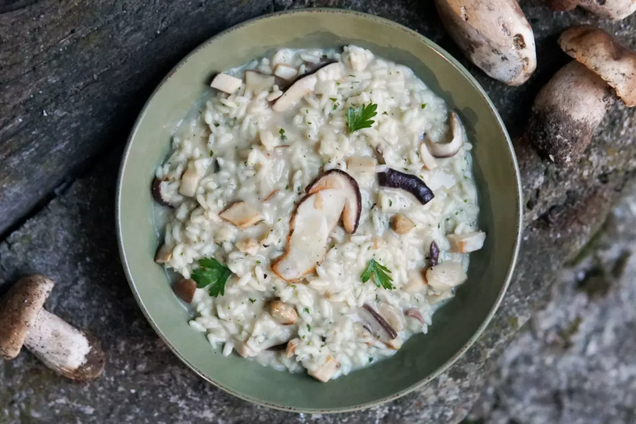 Risotto ai funghi porcini | © Archivio APT Val di Sole - Ph Davide Zambelli