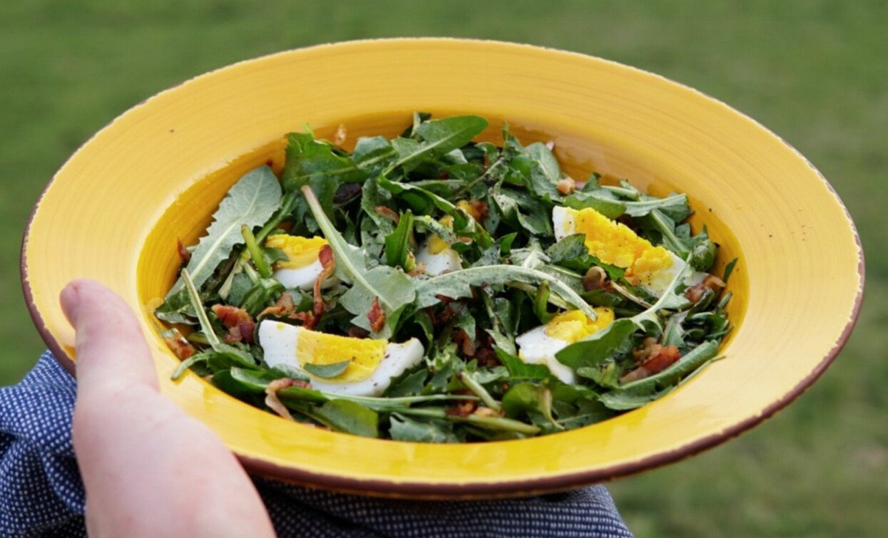 Insalata di Zicorie | © Archivio APT Val di Sole - Ph Davide Zambelli