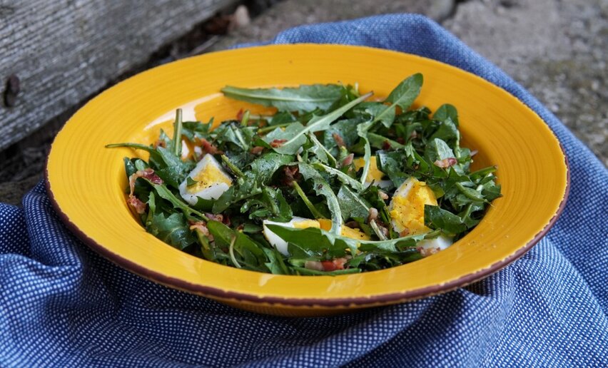 Insalata di Zicorie | © Archivio APT Val di Sole - Ph Davide Zambelli