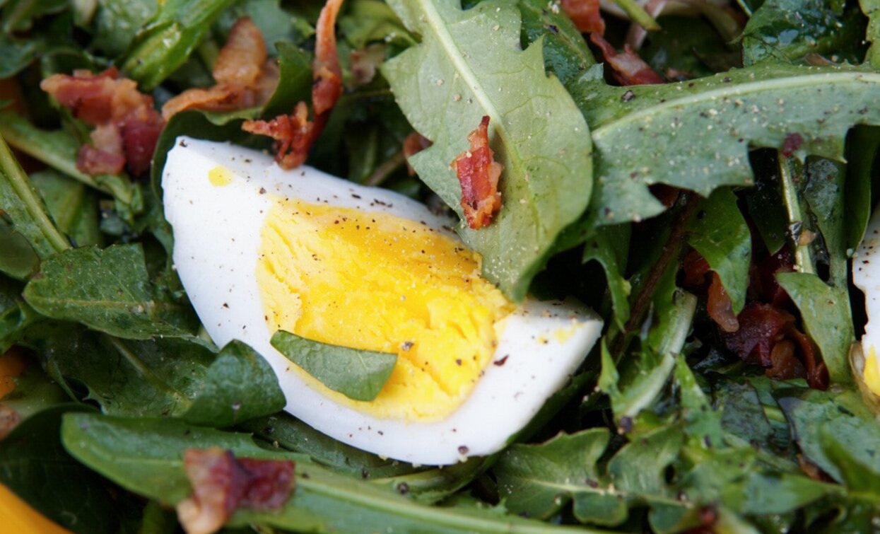 Insalata di Zicorie | © Archivio APT Val di Sole - Ph Davide Zambelli