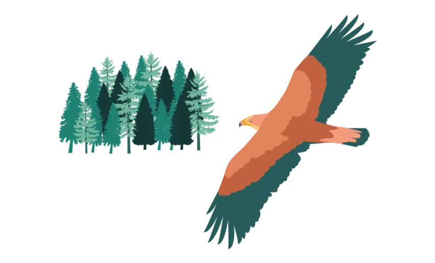 Aquila - icon | © Archivio APT Val di Sole - Anna Formilan 