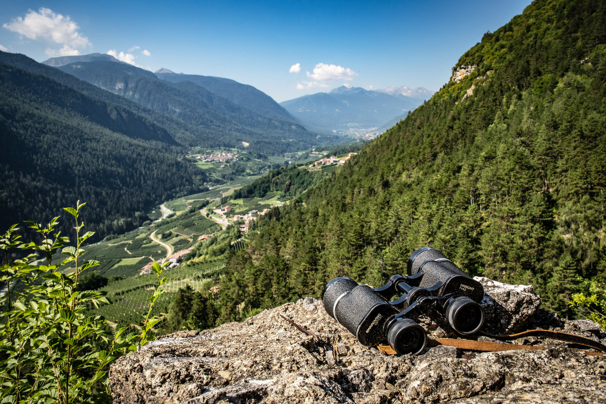 Panorama sulla Val di Sole | © Archivio APT Val di Sole - Ph Tommaso Prugnola