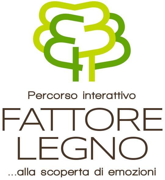 Fattore Legno | © Archivio Falegnameria Baggia